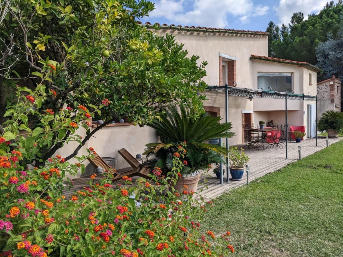 MAS TRAMONTANE chambre d'hôtes Força Réal classée 4 clés Ille-sur-Têt Exterior foto